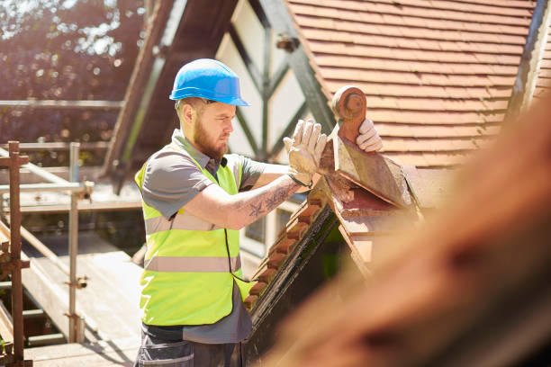 Best Gutter Installation and Roofing  in Elsmere, DE